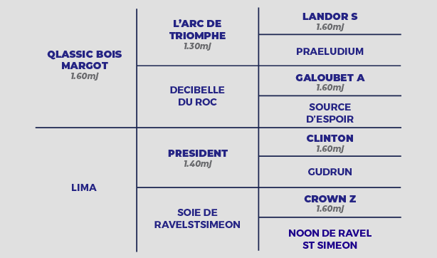 Kiss me de ST Jean pedigree